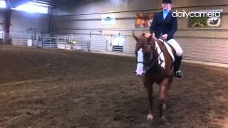 Horse showin at the Boulder County Fairgrounds today