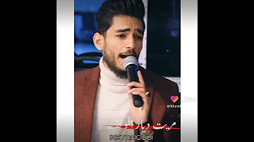 مريت ديار الولف 