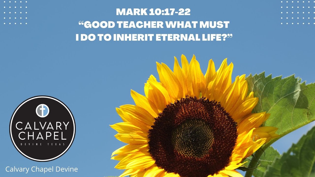 Mark 10:17 22