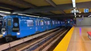 IMG 3243