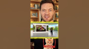 How Apple’s AI Photos App Makes Finding Memories Easier