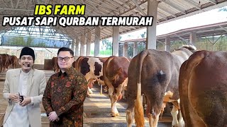 The Cheapest Qurban Cow Warehouse Subscribed By Gus Idam And The Regent Of Kediriibs Farm Kediri