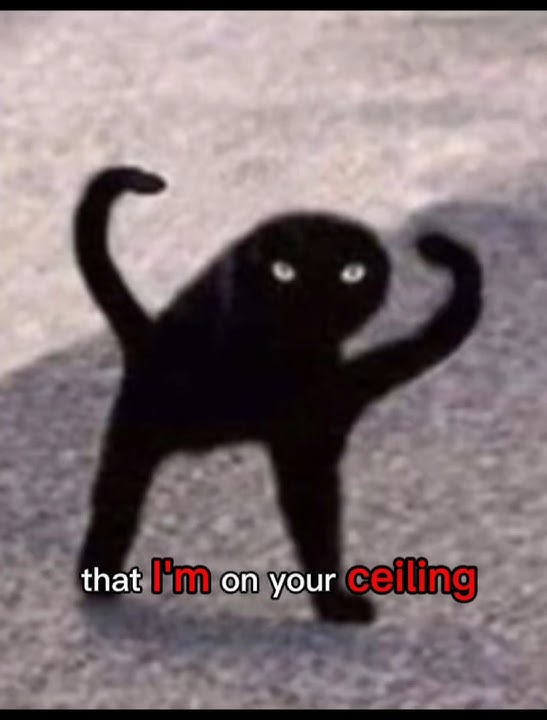 Hehehe..😈 #Catmemes #Cat #Funny #fypシ゚viral