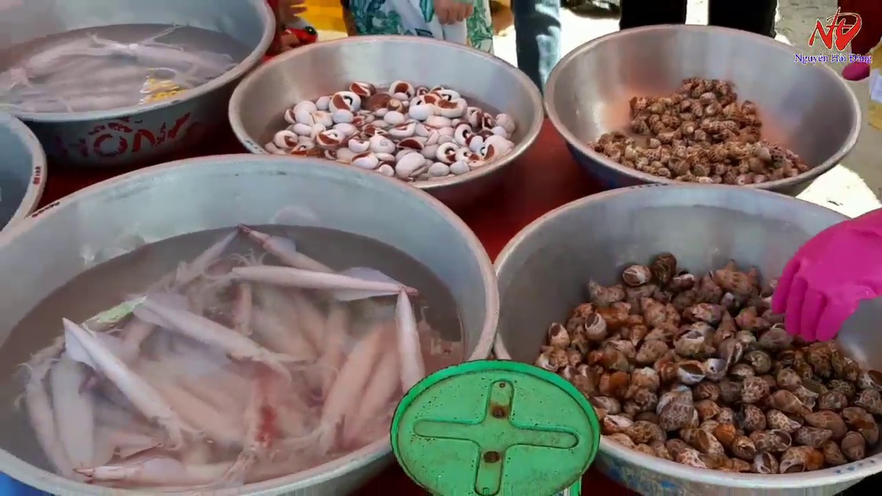 KHÁM PHÁ CHỢ HẢI SẢN HÒN RƠM,PHAN THIẾT/ Du Lịch. Nguyên Hải Đăng