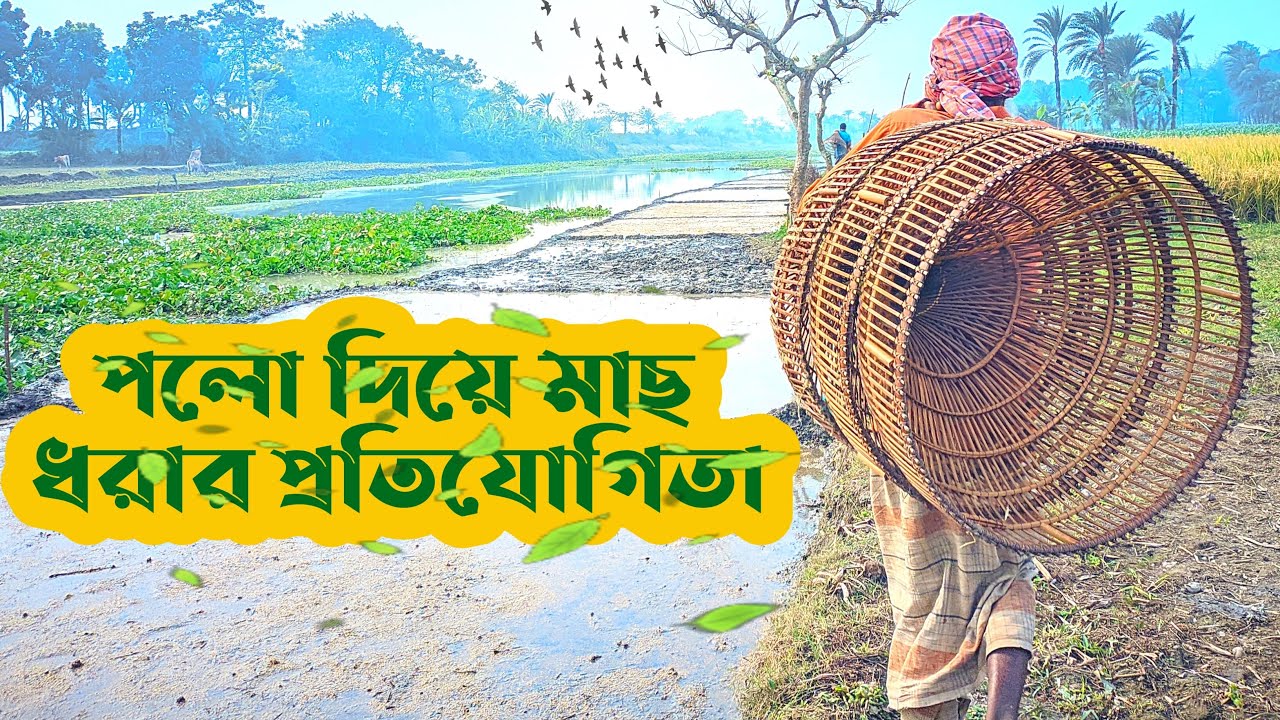 একদিন গ্রামের ঐতিহ্যে | পলো দিয়ে মাছ ধরা প্রতিযোগিতা I  ALIMDAR || TEAM ALIMDAR