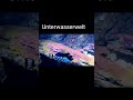 Unterwasserwelt