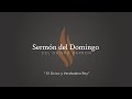 El Único y Verdadero Rey -  Sermón del Domingo del obispo Robert Barron