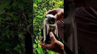 dji mini 3 🤟#shorts #ytshorts #viral #trending #drone