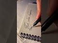 #penmanship #moderncalligraphy #brushlettering #fountainpen #notes #notesaesthetic #естетика #art