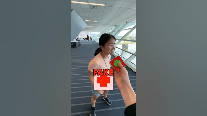 Asking people to guess Fake country flags