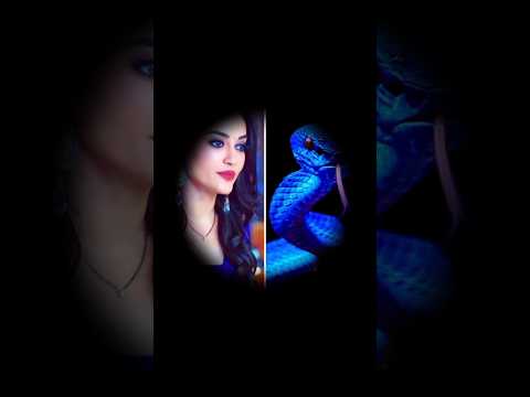 Nagin 3 Bela 🆚 snake🐍|| Surbhi Jyoti 🆚 snake🐍||#nagin #colors #entertainment #vs #snake #surbhijyoti