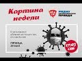 Коронавирус убивает не только тех, кто им болен