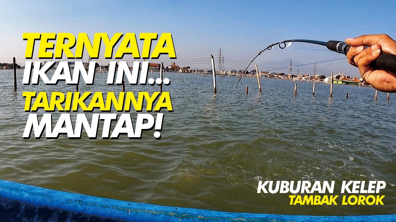 SPOT POTENSIAL... KUBURAN KELEP TAMBAK LOROK 