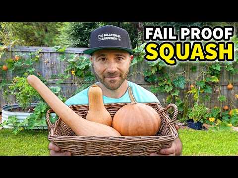 3 INVINCIBLE Squash Plants You Will FALL IN LOVE With!