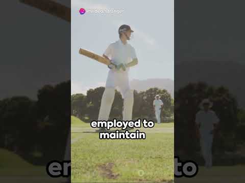 Cricket & Blockchain  A Game Changer Blockchain Technology in Cricket Administration Idea  #crypto