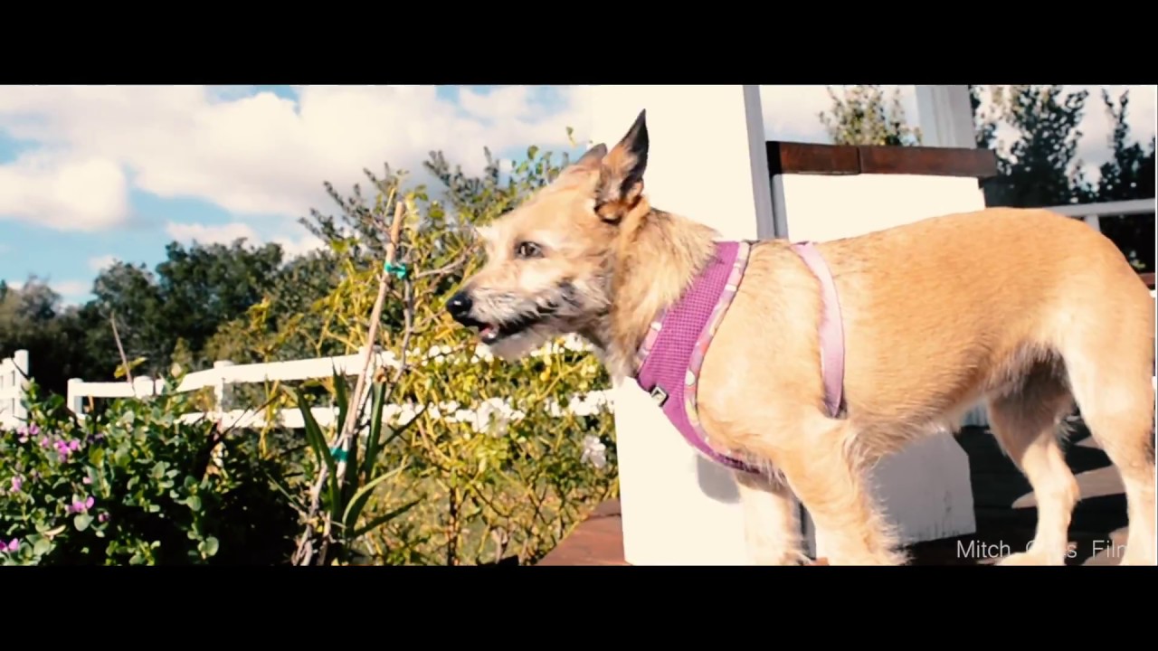 LIVE EVERYWHERE // ORANGE, CA YouTube