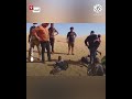 في حادثة أليمة وفاة مهاجرين سودانيين عطشا في صحراء ليبيا وإنقاذ آخرين