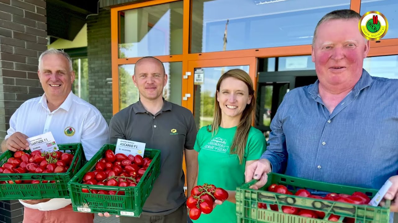 Ciekawe odmiany pomidorów od PNOSu