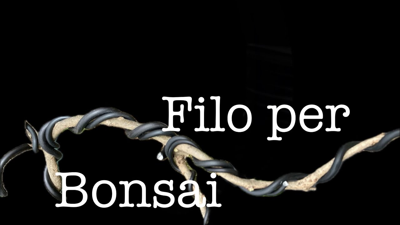 Quando rimuovere il filo?