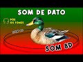SOM DE PATO - SOM DE ANIMAIS - Efeito Sonoro