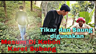 Kebon Karet di Subang jadi tempat mesum