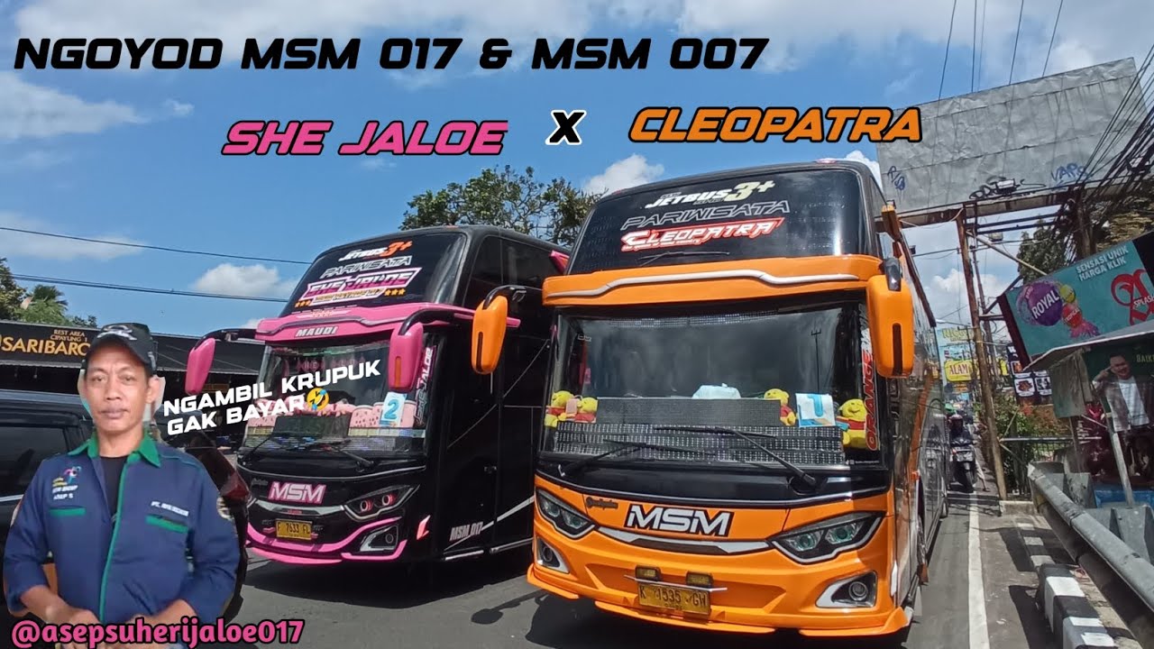 NGOYOD MSM 017 (SHE JALOE) & MSM 007 (CLEOPATRA) || FULL BASURI DAN FULL STUT‼️