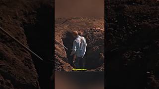 The Prisoner Who Outsmarted an Entire Prison 😱🔥 #shortsvideo #shorts #shortsfeed #shortvideo