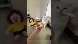 Download Lagu 😋🍜 Gigi, I want your noodles #funny MP3 Download Lagu 😋🍜 Gigi, I want your noodles #funny MP3