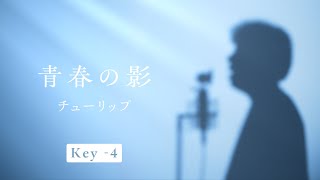 【歌ってみた】青春の影 / チューリップ(cover by 安静)|コーラス:重音テト & Kevin