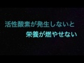 抗酸化サプリは必要か？＜後編＞