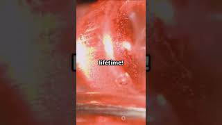 Is Glass a Solid or a Liquid? The Mind-Bending Truth! Profile