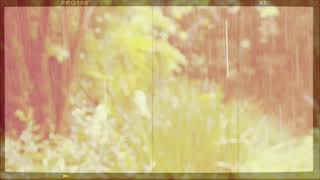 RAINFALL BEAUTIFUL MUSIC, CALM,PIANO, GUITAR, FLUTE, WORK,DELTA WAVES, MESSAGE MUSIC, EPIC,SOFT,SPA. screenshot 3