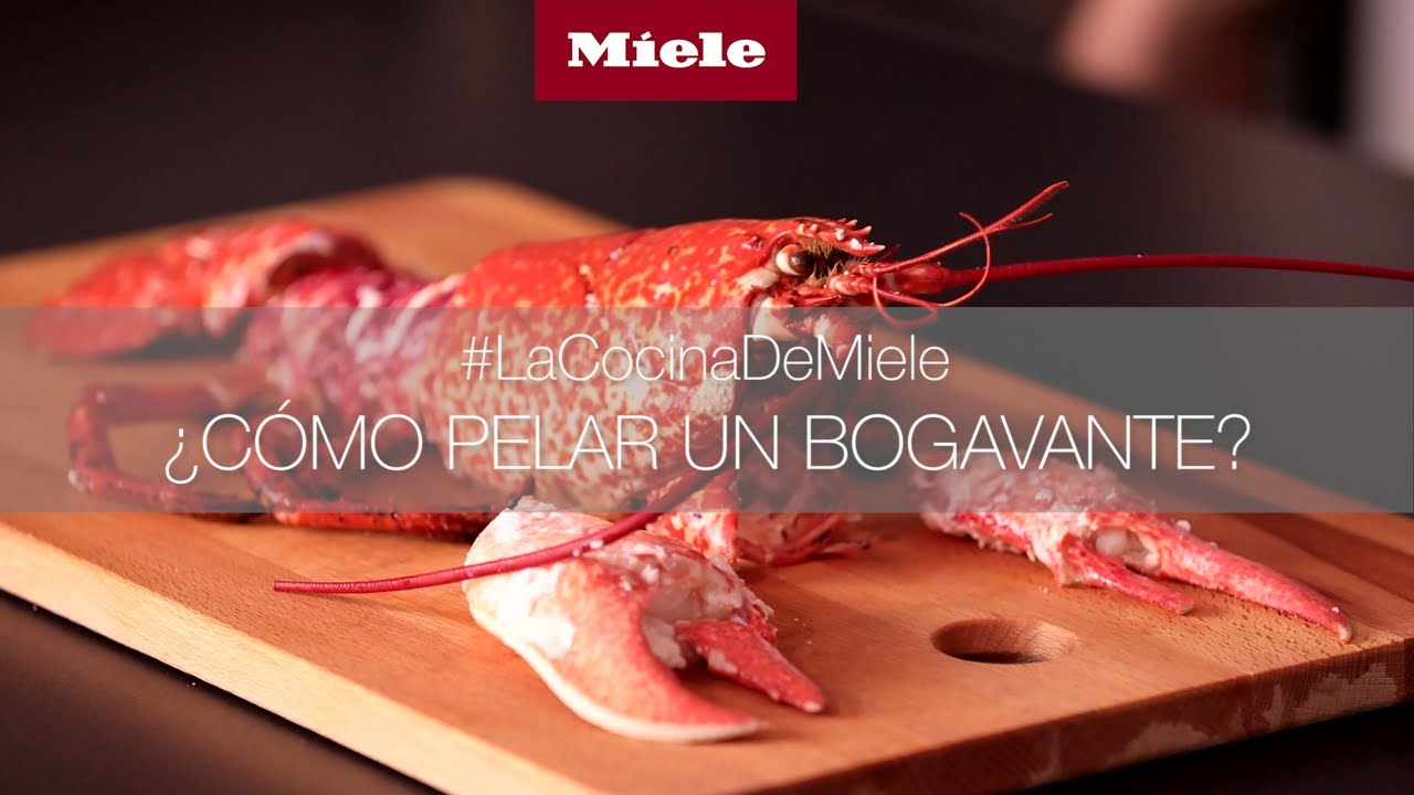 Como limpiar un bogavante congelado