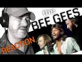 Bee Gees - Too Much Heaven | REACTION !!!