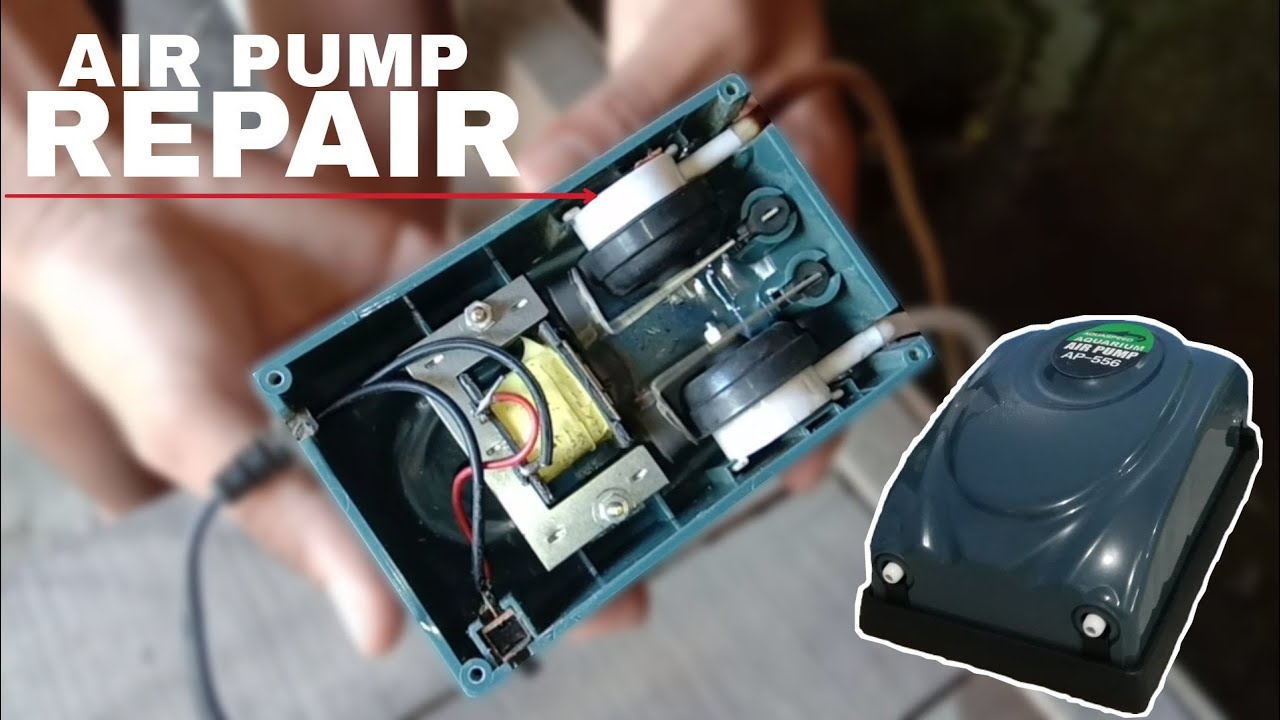 HOW TO REPAIR AQUARIUM AIR PUMP Aquaspeed Air Pump 5watts YouTube