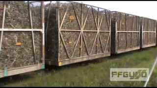 Cane Trains Hauling Another Load Of Full Bins [SD]