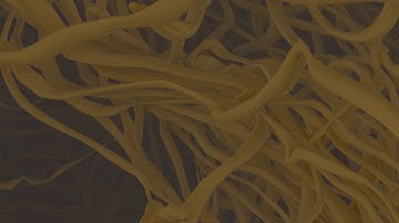 Noodles [Trapcode Tao]