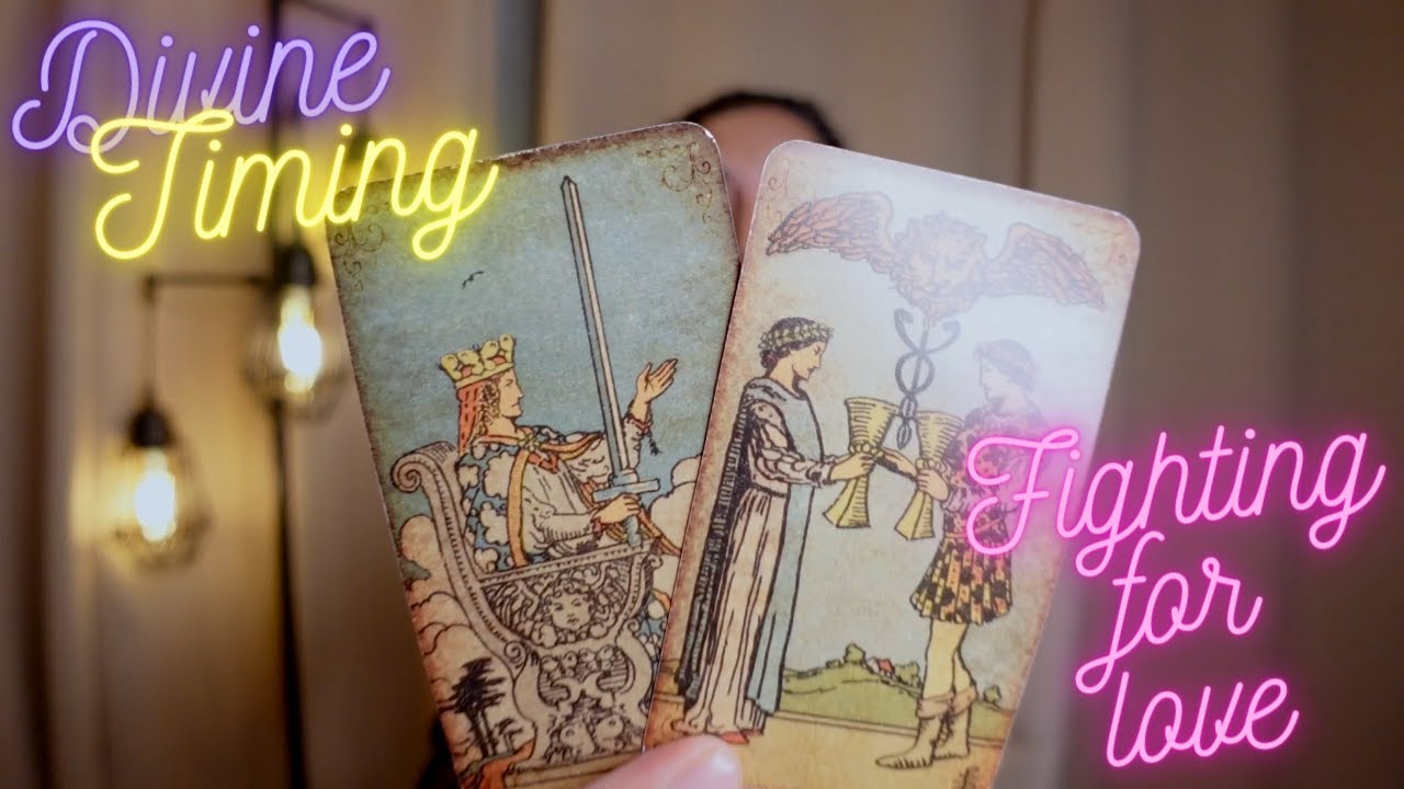 DIVINE TIMING | NOT GIVING UP ON MY SOULMATE | ALL ZODIAC TAROT READING