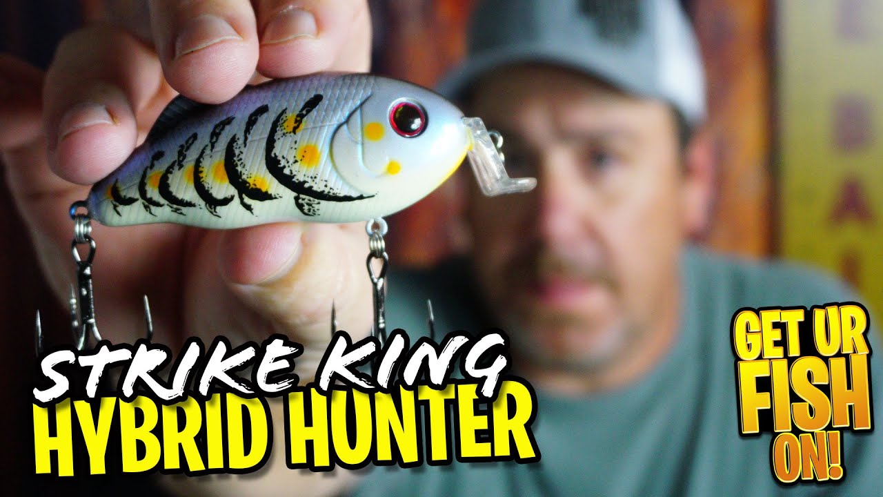 POWERFUL Strike King Hybrid Hunter Shallow Water Bass Fishing Lure