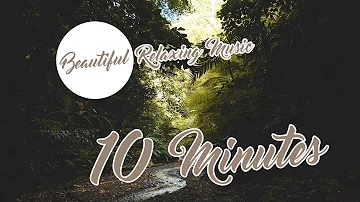 🎵 10 Minutes Beautiful Relaxing Music Piano Music For Stress Relief, Meditation Music, Study Music