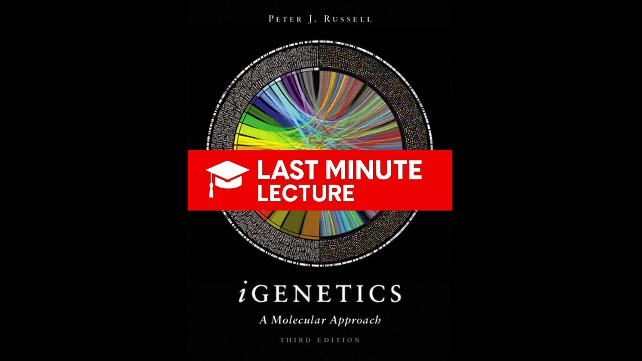 ДНК: объяснение генетического материала | Глава 2 – iGenetics: молекулярный подход (3-е издание)