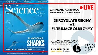 Skrzydlate rekiny vs filtrujące olbrzymy / Dr Daniel Tyborowski