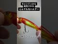 キャンドゥからとんでもないルアーが発売された件