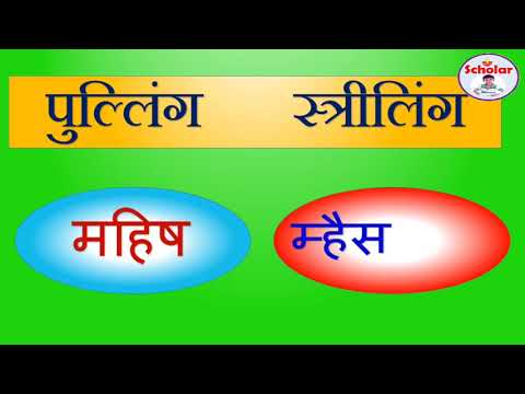 मराठी व्याकरण लिंग|पुल्लिंगी स्त्रीलिंगी शब्द|लिंग प्रकार|Marathi vyakaran|pulling striling shabd