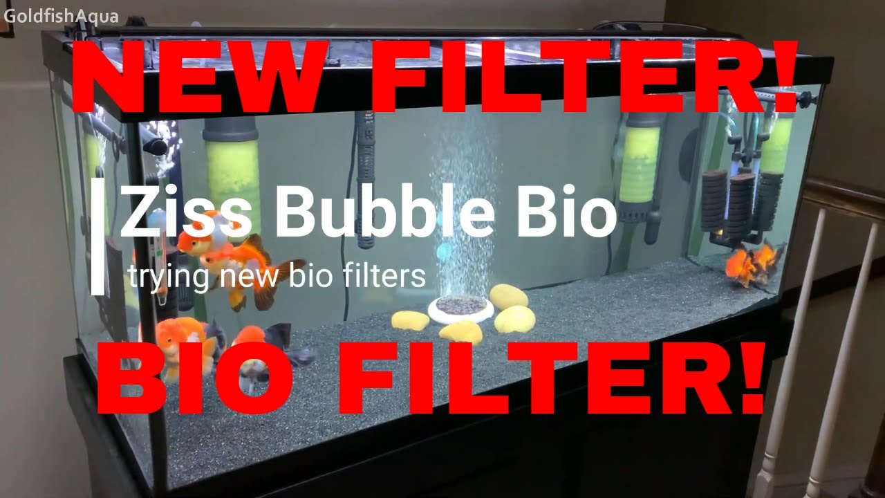 Goldfish Tank ZISS BIO FILTER