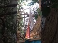 અંખત ઝોપડી માં આસેડા