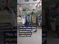 Pigeons steal hospital food amid infestation in Malaysia
