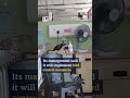 Pigeons steal hospital food amid infestation in Malaysia