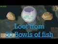 Loot from 50 Bowls of fish (Fossil island agility arena) - OSRS