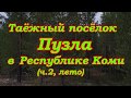 Таёжный посёлок Пузла в Республике Коми.Верховье р.Вычегды.Российская глубинка